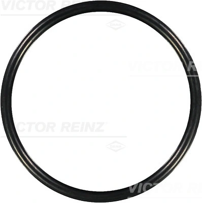 Seal Ring